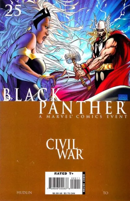 Black Panther, Vol. 4 #25 Michael Turner Regular comic book cover, 2007