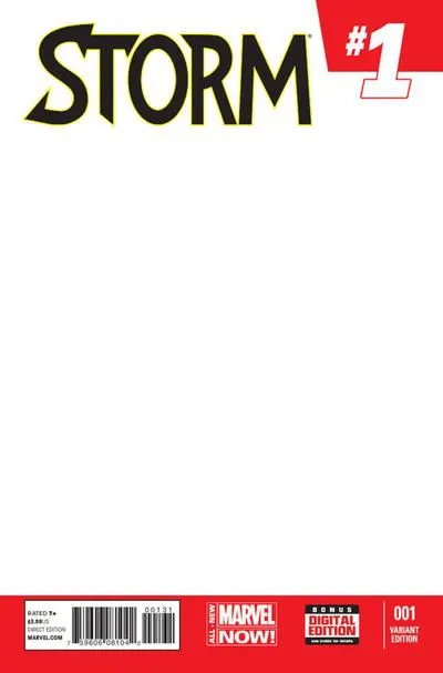 Storm, Vol. 3 #1 Blank Cover Variant comic book cover, 2014